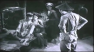 Cảm nhận về nhân vật chị Dậu trong đoạn trích “Tức nước vỡ bờ”- VnDoc.com