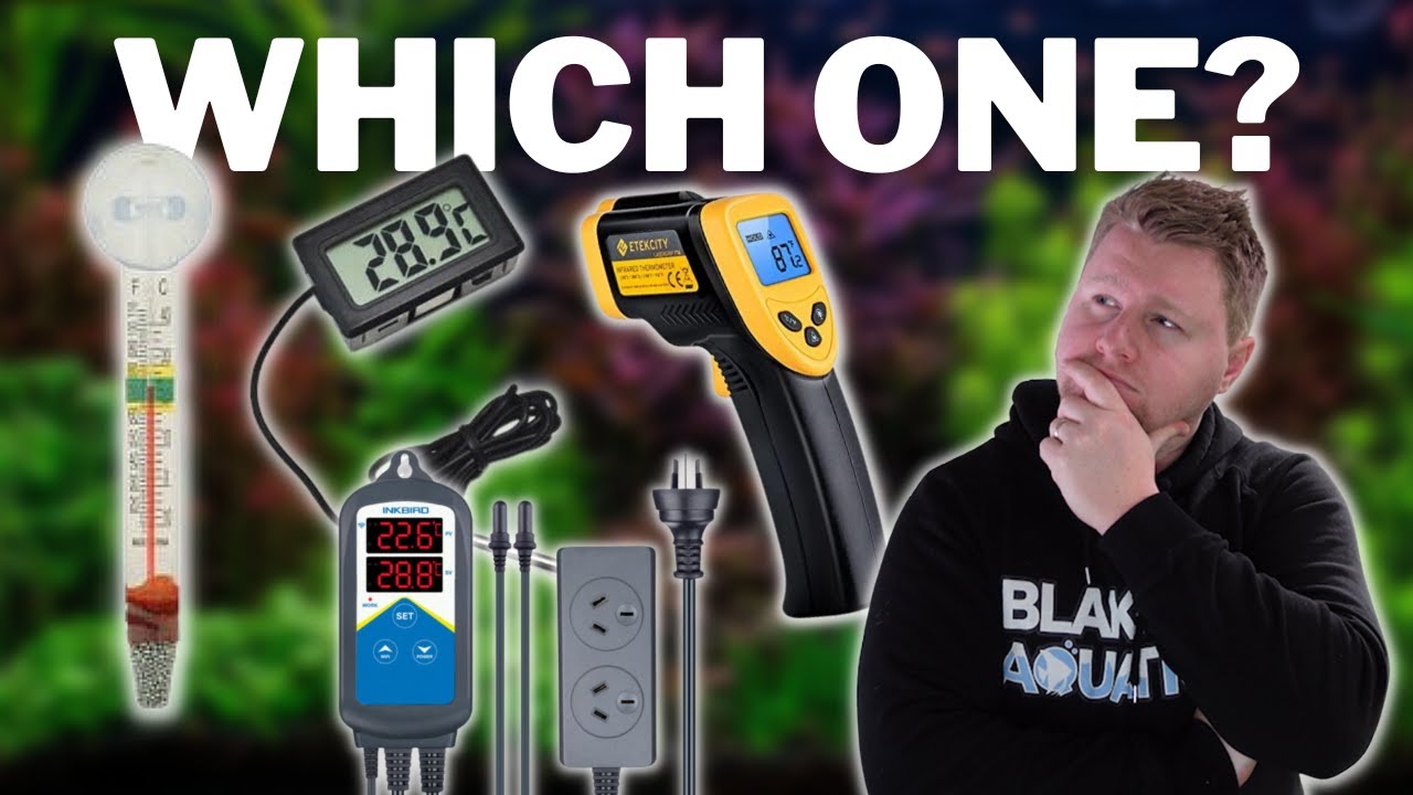 5 Best Aquarium Thermometers Tested (Most Accurate 2023)