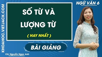 Số từ và lượng từ - Ngữ văn 6 - Cô Nguyễn Ngọc Anh (HAY NHẤT)