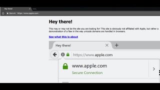 Homografía en  navegadores!! Phishing con Punycode. Noticias 24 H