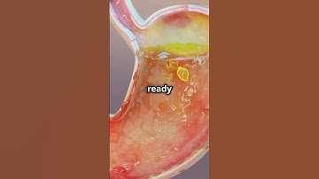 Why does our stomach growl when we
