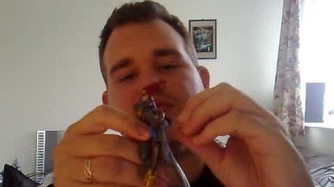 transformers animated dinobots part 1 3 Swoop