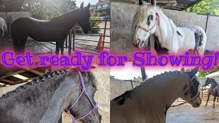 Showing Vlog Part1|GRWM|Plaited Pony and Plaited coloured|Crystal the rescue pony|Sia the Welsh pony