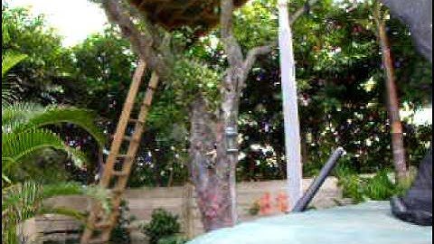 08 EGO UNCAPPED RAMP