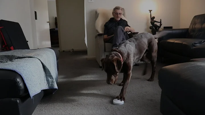 Ex-cop wins his assistance dog case