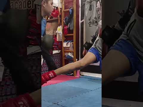 براعم مصر ساندا كونغ فو طنطا كيك بوكسينج البحرين السعودية مصر العراق الجزائر اليوم