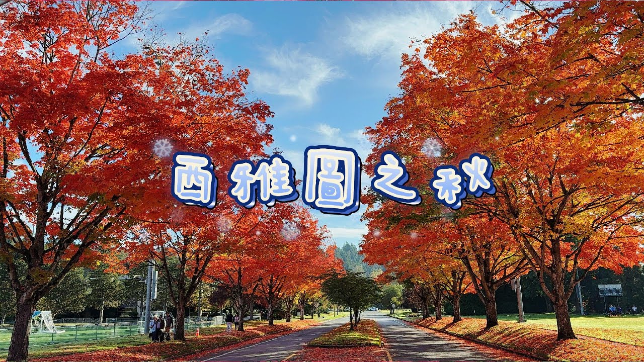 楓葉紅啦!!! 西雅圖的秋之美
