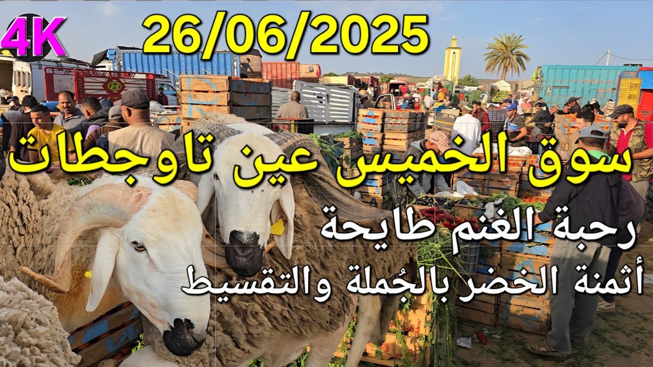 أثمنة الغنم والدجاج والخضر واللحوم سوق عين تاوجطات اليوم الخميس 26/06/2025