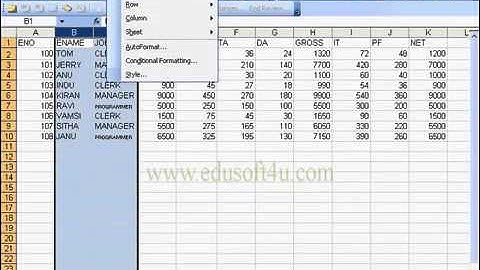 Format Menu Options in Excel MS Office 2003 in Telugu (nowtelugu.com)