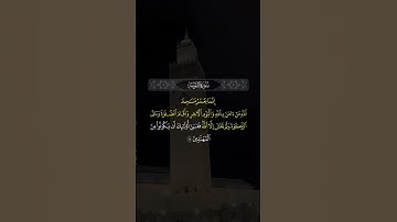 تلاوة عطرة من #سورة #التوبة بصوت القارئ #هشام_الهراز  #المغرب #قرآن #تلاوات #محراب