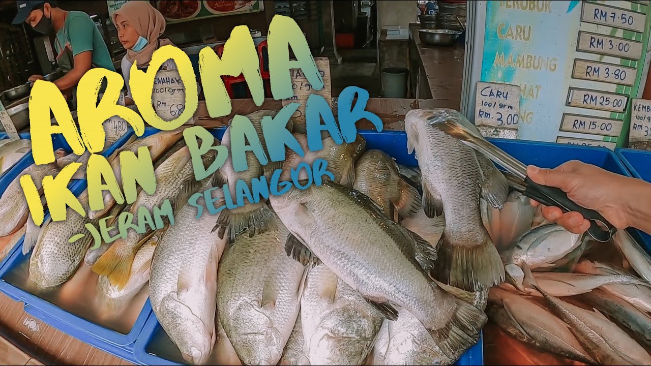 Aroma Ikan Bakar Memang Terbaik Lokasi Di Jeram Selangor Youtube