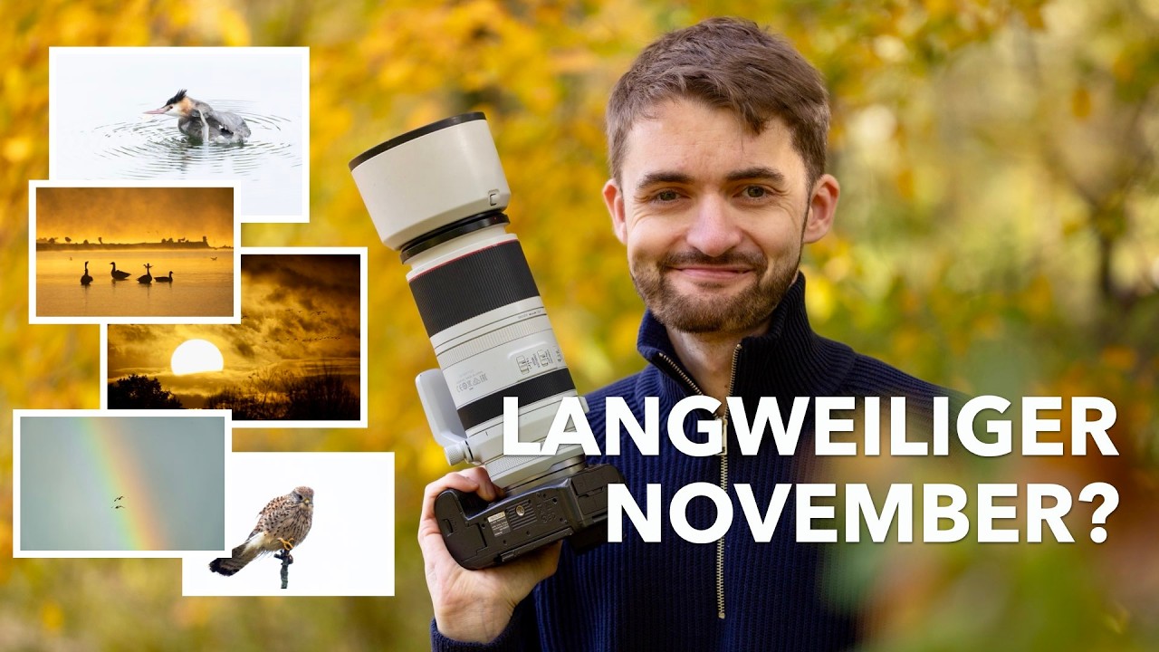 Langweiliges Wetter? So entstehen meine besten Naturfotos im November!