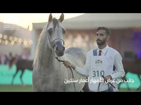 تنفيذ مهرجان الملك عبد العزيز للخيل العربية الاصيلة