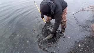 fishing for steelhead catch and release from Snake river