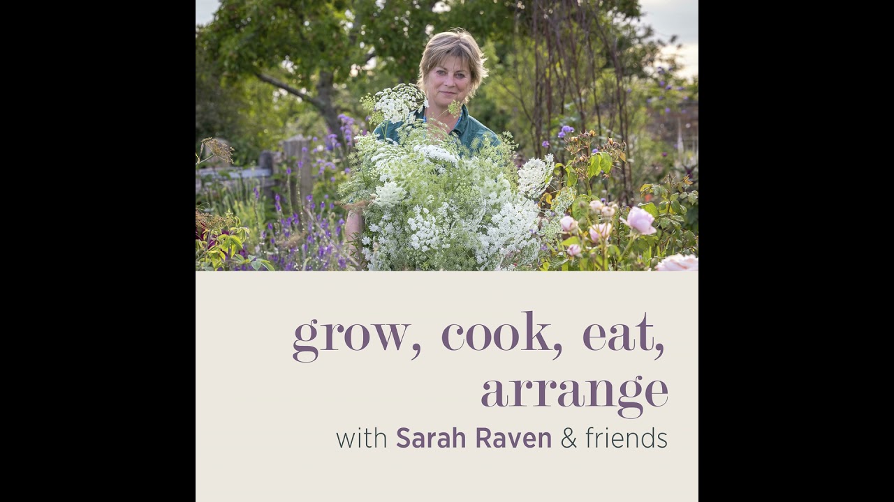 The Colour Guide Mini Series #2: Understanding colour theory - Episode 262