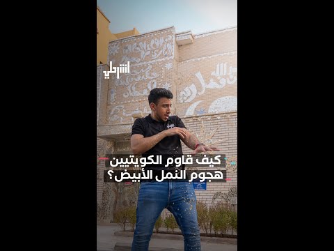 فيديو: كيف تبدو الإصابة بالنمل الأبيض؟