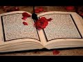 أكثر من ساعة من أفضل التلاوات الخاشعة للقارئ سالم الرويلي