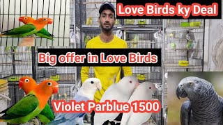 Cheapest Birds Shop in Lahore #BilalBirds #03218841501