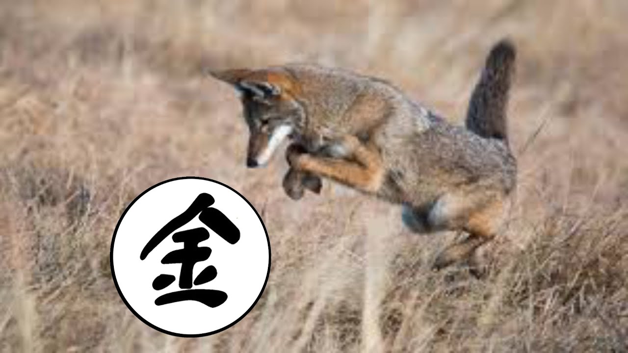 Nature - The Sky Above Cochise County, AZ