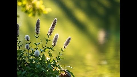 Embrace Your True Self: A Journey of Liberation - Subliminal Hypnosis & NLP