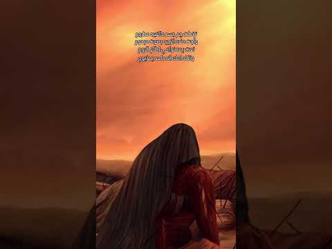 تخطت جم جسد عالغبره مطروح حيدر البياتي مايحاجيها استوريات حسينية ابلور لايك علي تصميم فيديو