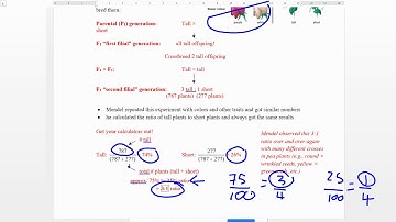 Biology 30 - genetics video 1