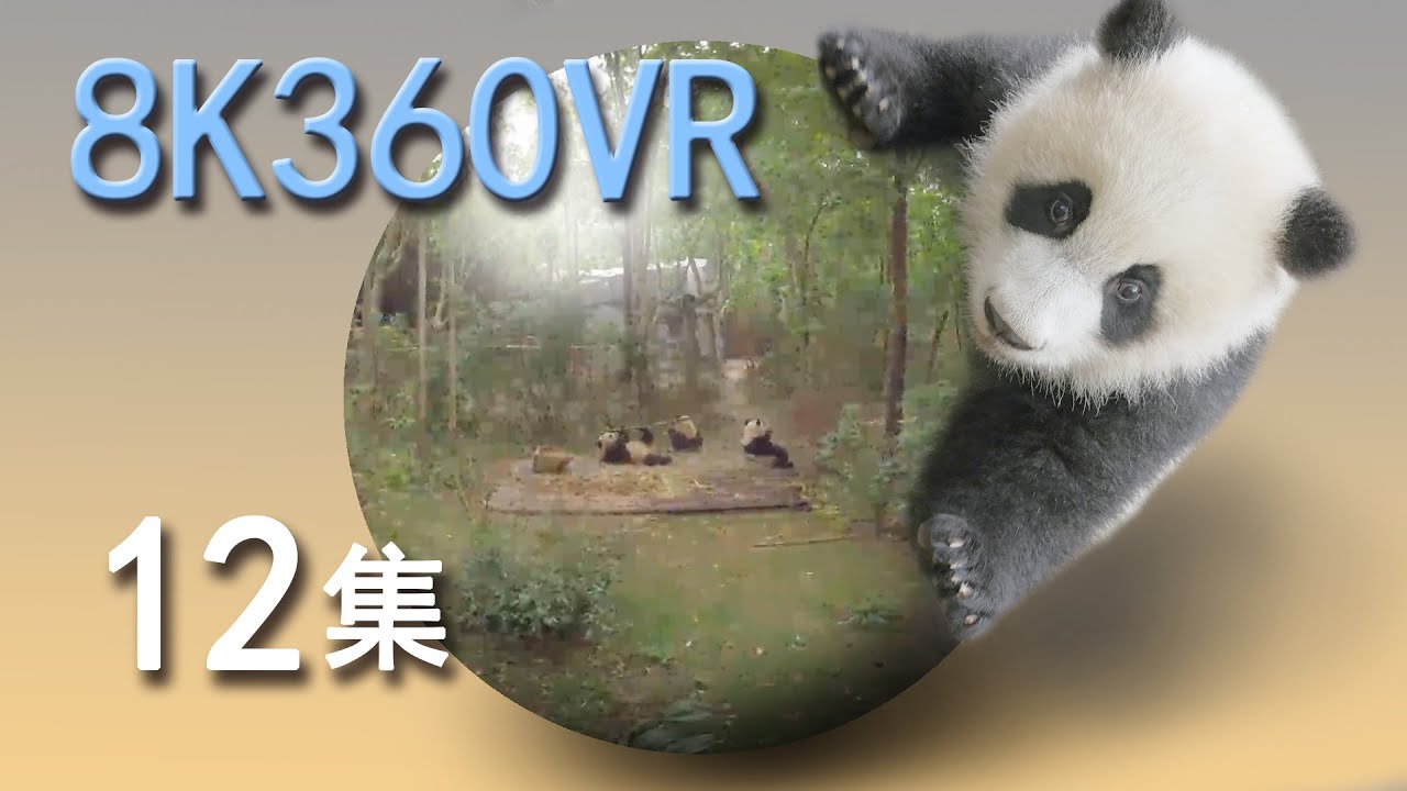 VR panda space15min episode 12 VR熊猫空間12集 - YouTube