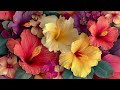 4K Relaxing Smart TV Flowers Wallpaper Stunning Ambient Screensaver For Android TVs 