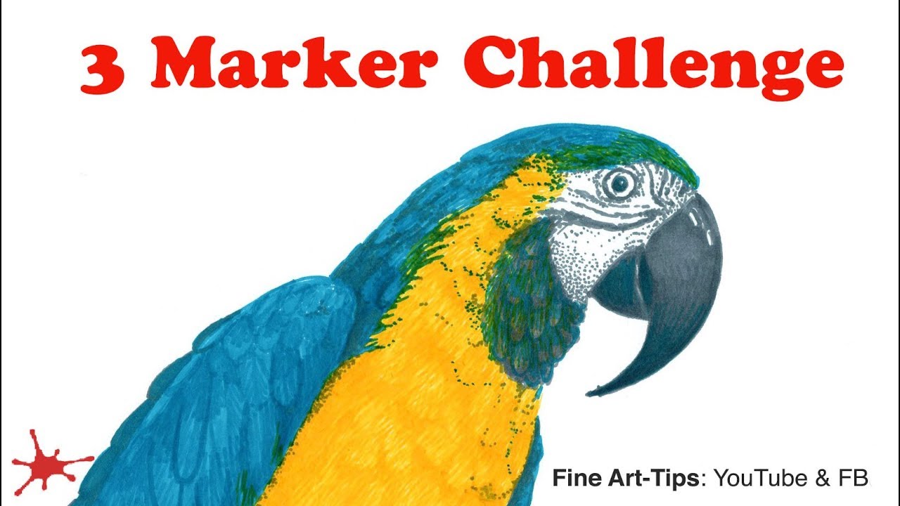 3 MARKER CHALLENGE! - A Macaw