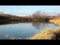 russian nature lake Levnevoe / озеро Ливневое Россия природа пейзаж футаж