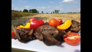 Рецепт приготовления копчёного голубя Вяхиря, "Два Шурика"...pigeon hunting