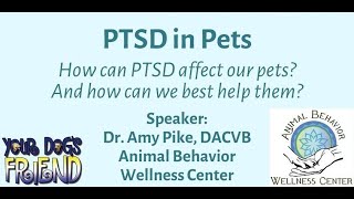 PTSD in Pets  - 3-25-2023 by YourDogsFriend 886 views 1 year ago 1 hour, 48 minutes