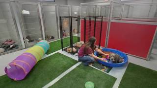 Animal Care Center of Tupelo | Tupelo, MS | Veterinarians