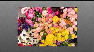 Jigsaw puzzle - Roses screenshot 2