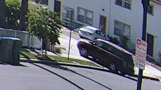 Neighbors mourn elderly couple struck dead in South Bay rampage