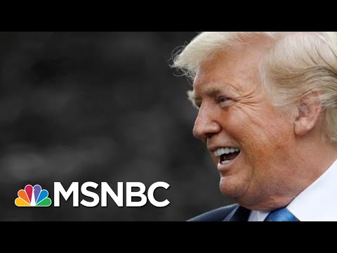 House Judiciary Dems: We've Already Begun Impeachment Probe Against Trump | The 11th Hour | MSNBC