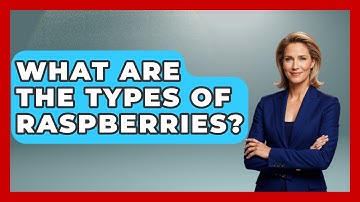 What Are The Types Of Raspberries? - The Midwest Guru