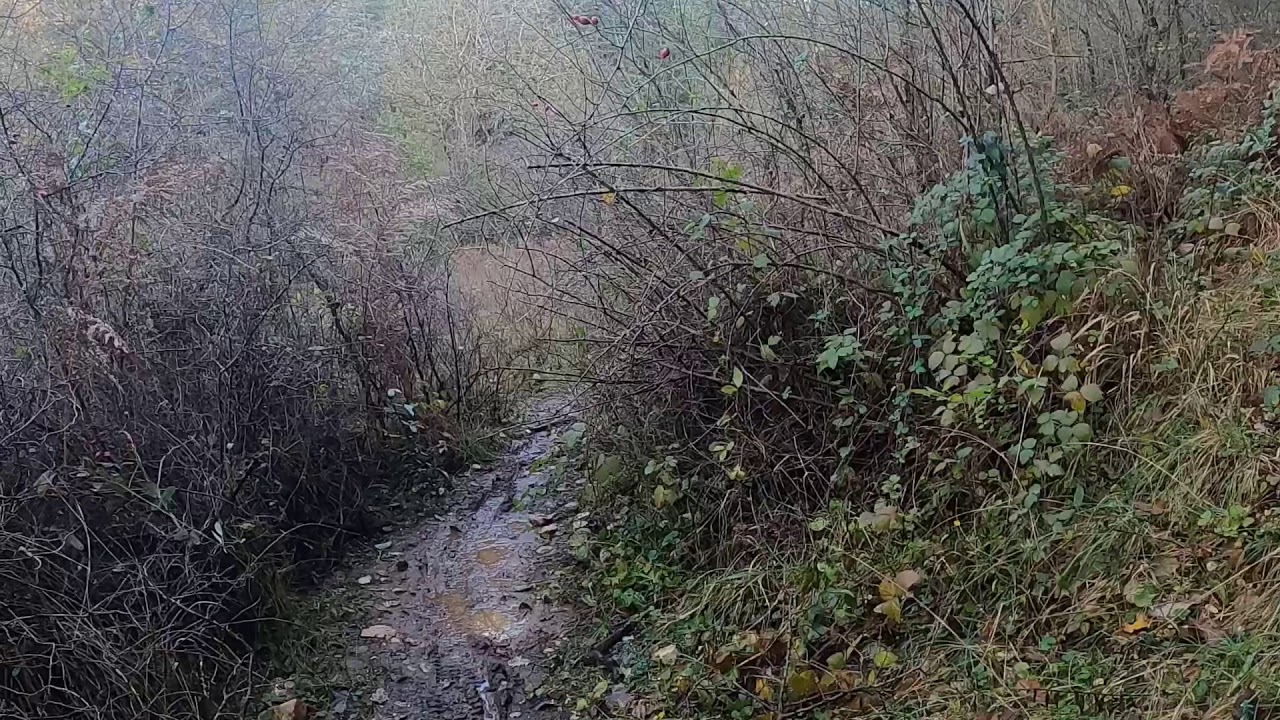 Giro focus jam2 6.8 plus giro poggio panoramico