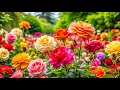 All Your Worries Will Disappear In 3 Minutes If You Listen To This MusicрџЊє100 Relaxing Piano Music All Your Worries Will Disappear In 3 Minutes If You Listen To This MusicрџЊє100 Relaxing Piano Music