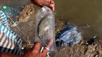 Catching Big Mullet Fish with Maida Powder Bait | Water Bottle Fishing Technique