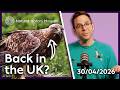Golden eagles to alien microbes | Nature news you need to know
