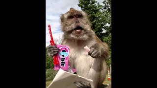 Bugs opening his 3rd piece of FAN mail :)