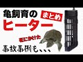 【亀飼育】亀のヒーターまとめ！過去のヒーターによる事故の話も。温度固定式・温度可変式、一体型・分離型など、どれを選べばいいのか解説！