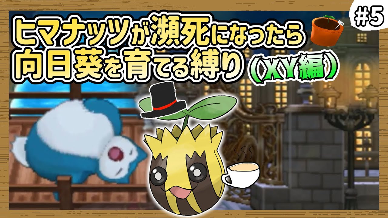 ポケモンXY】ヒマナッツがひんしになる度に『現実で向日葵を育てる縛り