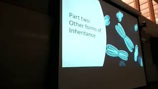 Inheritance PART 2