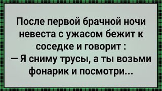 После Первой Брачной Ночи Невеста Сошла с Ума! Сборник Свежих Анекдотов! Юмор!