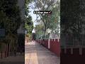 A slow college day #hansraj #vlogs #study #fypシ #college