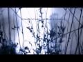 ERNESTO CORTAZAR - Beethoven's Silence