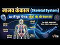 मानव कंकाल तंत्र (206 Bones in Human Body) 3D Infographic | SSC, Railway &amp; 10th-12th | TheVocalGuide