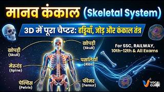 मानव कंकाल तंत्र (206 Bones in Human Body) 3D Infographic | SSC, Railway &amp; 10th-12th | TheVocalGuide